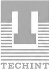 Techint