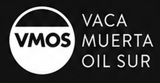 Vaca Muerta Oil Sur